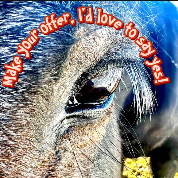 Welcome to Miss D’s closet - Picture 2 of 4